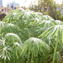 한림초등학교 이미지