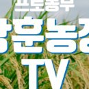 대농농장 이미지