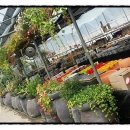 삽재농장 이미지