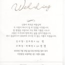 세평초 이미지