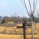 당정근린공원 화장실 | [하남/미사] 당정근린공원 미사 아일랜드 펫 존 무료 반려견 놀이터