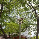 대평로51번길 이미지