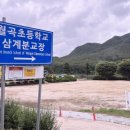 농암로(예안면) 이미지