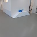 펫 투게더 이미지