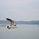 벌천포 마을 이미지