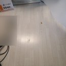 올림픽로4길 | 송파구 올림픽로 4길 15 아시아선수촌아파트 뜯긴마루부분교체 및 마루보수