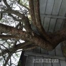 아름드리민박 이미지