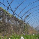 삼태리농장 이미지