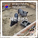 환영농장 | 용인가볼만한곳 용인놀거리 헤븐온어스 동물체험농장 후기