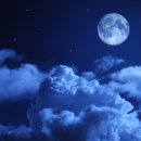 [이덕무의 「詩의 溫度」] 조선 지식인의 글쓰기 철학. 누구나 시를 지을 수 있고, 누구나 시인이 될 수 있다! 이미지