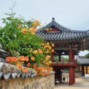 순천만민속한옥 | 김해 여행지 추천 가볼만한곳 김해수로왕릉 능소화가 예쁜 명소였어요