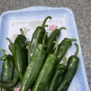 수진당