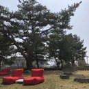 카페호와 이미지