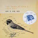 기초조형미술학원 - 북구 화명대로 31 | 기초조형미술학원