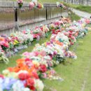 춘천안식공원 이미지