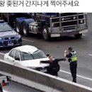 임진장 이미지