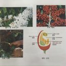 몰토커피바리스타학원 이미지