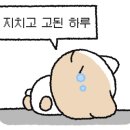 진미오뎅
