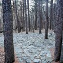 생곡리 미약골 이미지