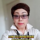 법인행복예감