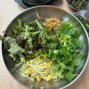 4253 | 대전 도마동 맛집) ‘솔밭식당’ 보리밥,쫄면 가성비 좋은 점심후기