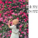 서울 중랑천 광진장미정원 주차 장미축제 / 수국