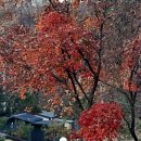 말구리농장 이미지