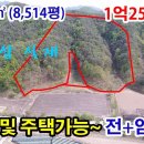 (7913) 장뇌삼 심어있는~ ●밭딸린 임야~ 28,152㎡ ●1억2500만원 이미지