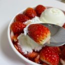 설빙 | 설빙 딸기빙수 겨울메뉴 순수요거생딸기설빙 후기