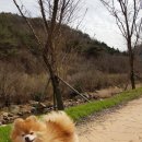 삼천포내과 이미지