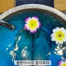 중문동-23 이미지