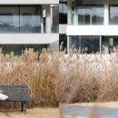 쌍둥이 돌잔치 스냅촬영 "스머프 스냅" 후기