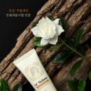 초이핸드 이미지