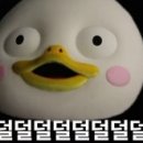 이다모드 이미지
