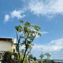 남원읍-5 이미지