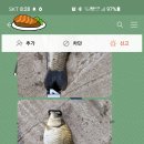 신원낚시터 이미지