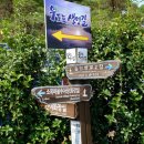 우포나루장재마을 이미지