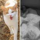 아띠의원 이미지