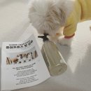 퓨어펫(pure pet) 이미지