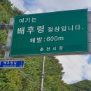용화산막국수 이미지