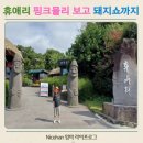 분홍돼지 | 제주 휴애리 핑크뮬리 아스타국화 보고 돼지쇼까지 보고 온 후기