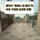 호텔마레몬스 | 가성비 숙소? 대포항 &amp; 설악 워터피아 접근성 1등! 10만 원대 마레몬스 호텔 디럭스 패밀리 트윈 솔직후기