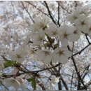 은판나비화장실 이미지