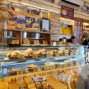 D00120 | [이탈리아 로마] Day2 바티칸 반나절투어, 로마 3대 젤라또, 3대 커피, 미미 에 코코, 올드베어