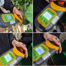 논산사랑푸드마켓 | 논산 딸기 산지직송 후기 설향 킹스베리 집에서 편하게 즐기는 싱싱한 생딸기 리뷰