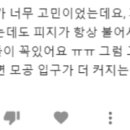 아크네마인드의원 이미지