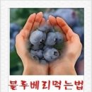 이병학농장 이미지