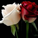 다가온 다가온 이미지