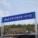 춘천시산림조합 | 춘천나무시장(묘목시장) (춘천시 산림조합 나무 판매 시장) 방문후기