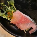 욕지횟집 | 신당동 횟집 | 부둣가실비 신당본점 활고등어회 후기